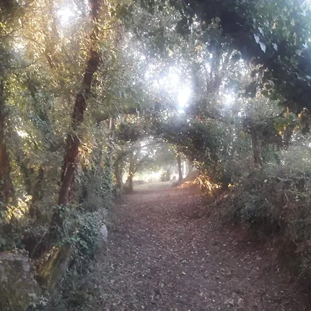 Del General Albelda Landsted *